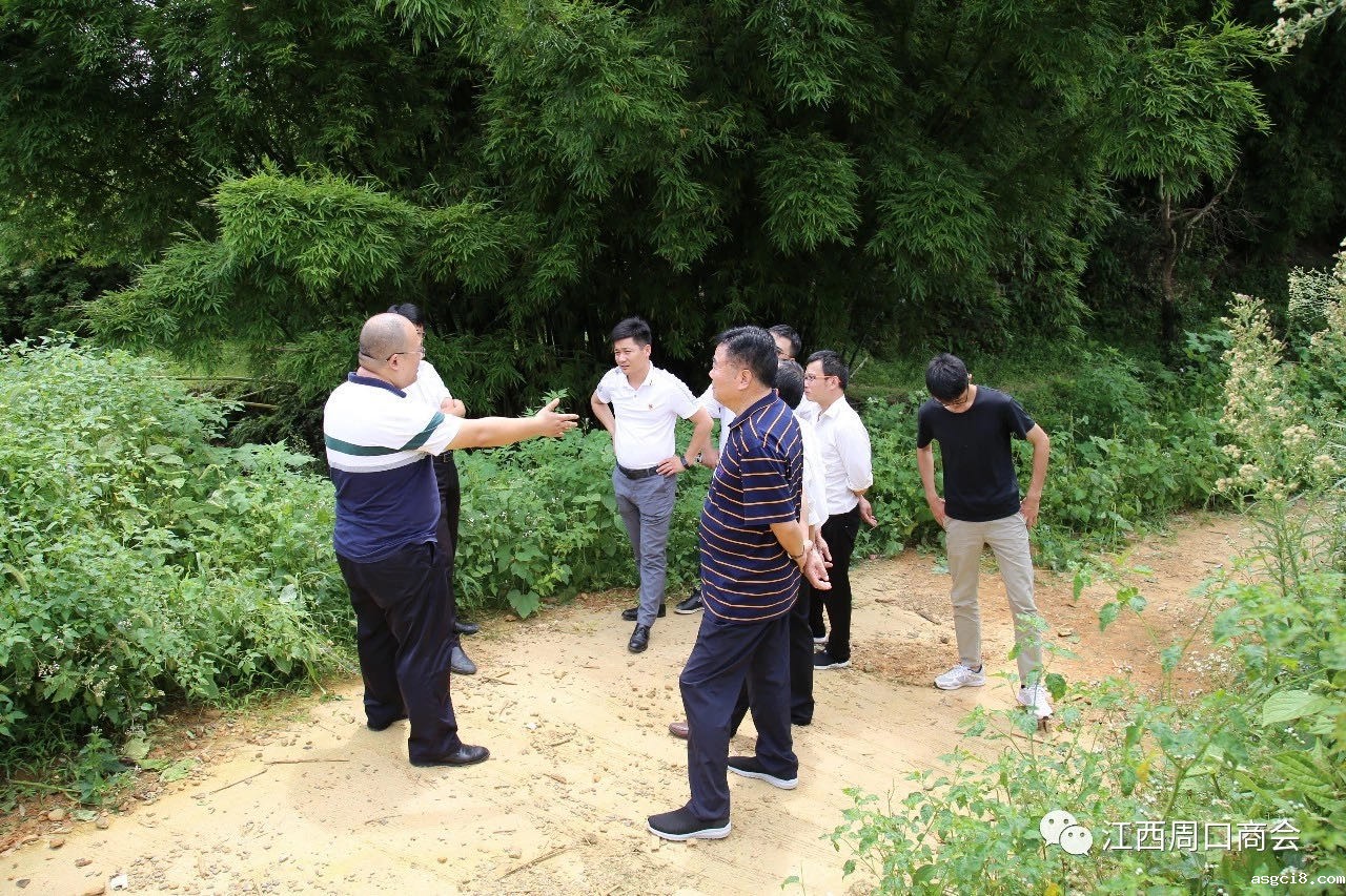 一封感谢信 为优米任务APP点赞